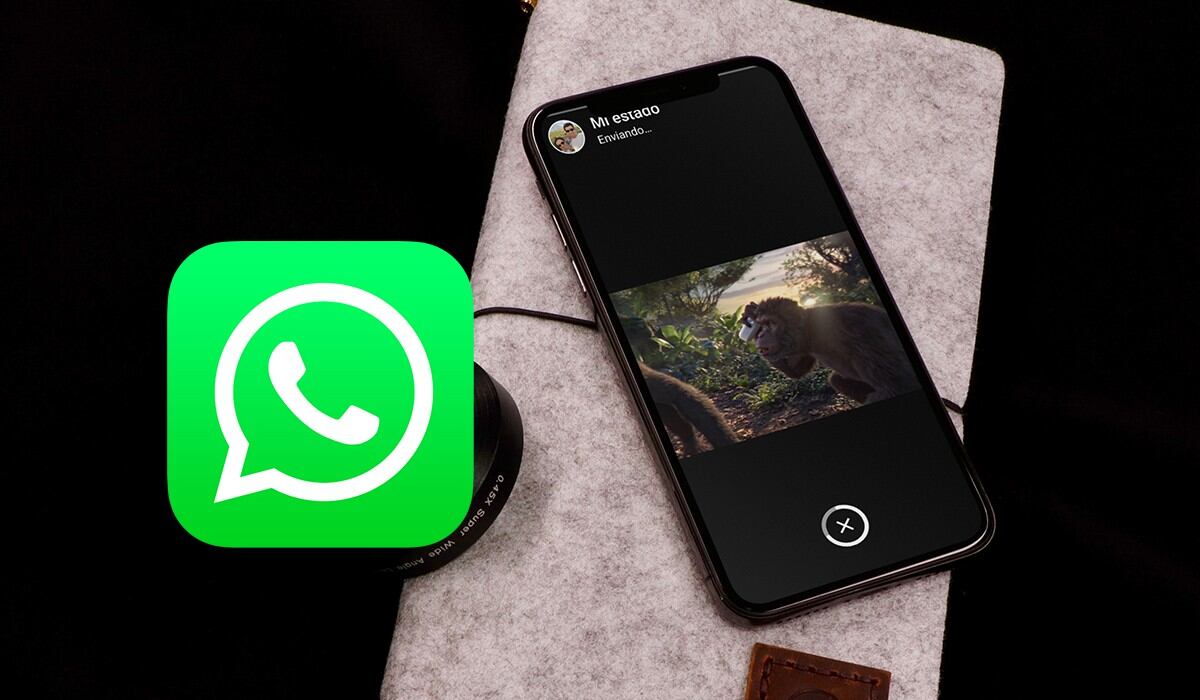 ¿Quieres saber cómo colocar tus videos de YouTube como Estados de WhatsApp? Aprende cómo. (Foto: WhatsApp)