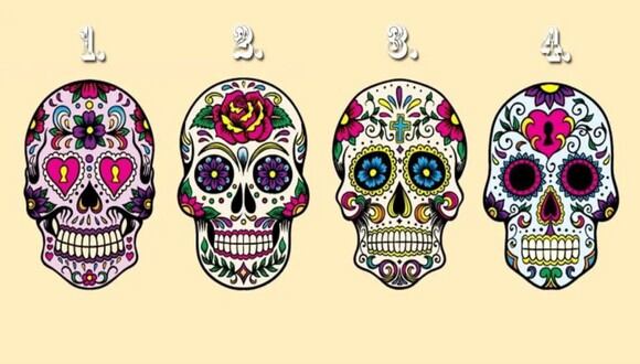 TEST VISUAL | ¿Qué cráneo del gráfico te parece más llamativo? (Foto: Namastest)