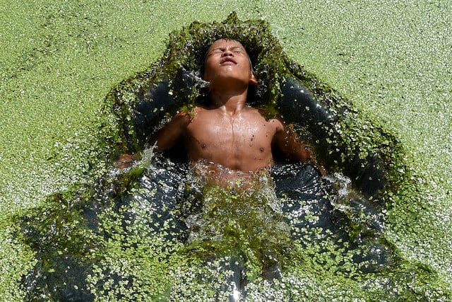 Un niño salta en un estanque cubierto de algas en Kirtipur, en las afueras de Katmandú, el 23 de agosto de 2019. (PRAKASH MATHEMA / AFP)
