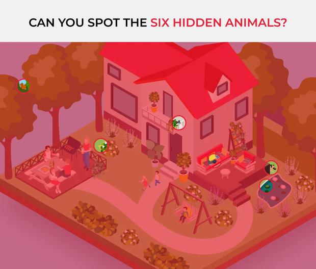 SOLUTION OF THE VISUAL CHALLENGE |  The animals were scattered all over the place.