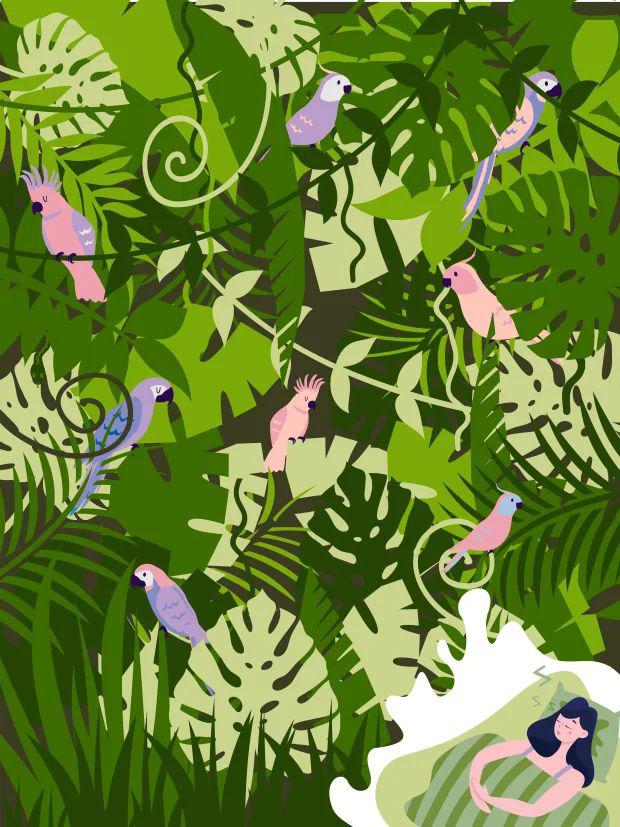 Esta es la ilustración del acertijo lógico que pide a sus participantes encontrar la serpiente oculta entre las hojas, las lianas y las aves en una escena selvática. | Crédito: Happy Beds / thesun.co.uk