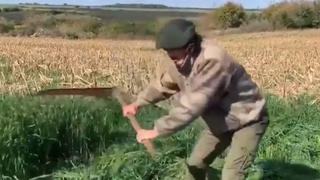 Cavani se luce trabajando“abdominales oblicuos” mientras corta hierba con una hoz [VIDEO] 
