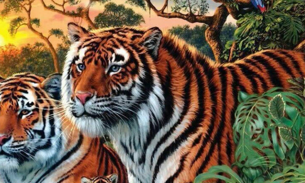 Desafío visual: adivina cuántos tigres en toda la imagen en el menor tiempo posible. (Foto: Facebook)