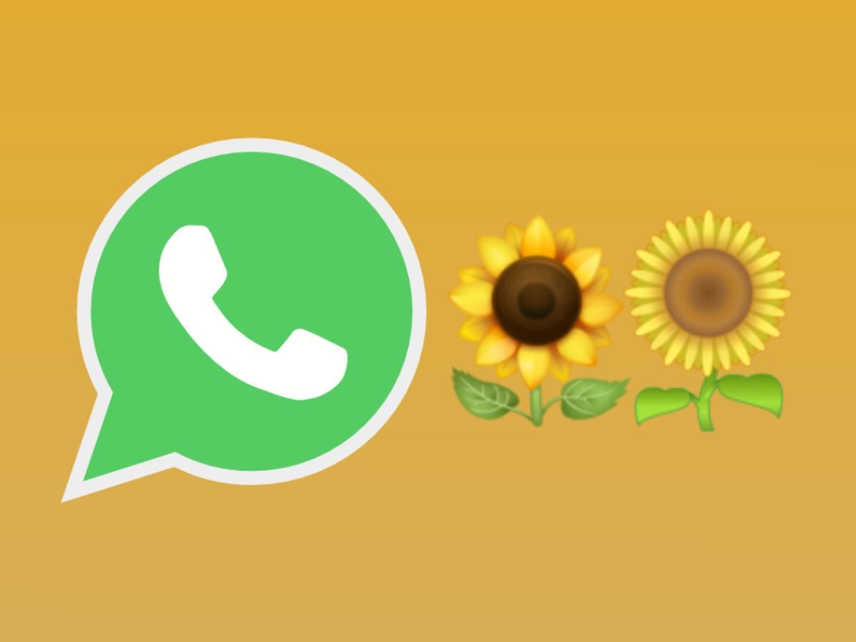 WhatsApp | qué significa el emoji del girasol y por qué se ha vuelto  popular en septiembre | Emoticones | Meaning | Significado | Primavera |  Flores | Amarillas | nnda | nnni | DEPOR-PLAY | DEPOR
