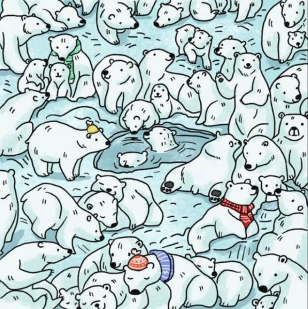 Encuentra a la foca en el acertijo visual de los osos polares: hazlo en menos de  5 segundos (Foto: Genial.Guru).