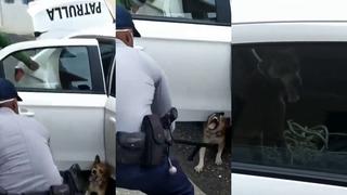 Tres patrullas y varios policías fueron necesarios para “detener” a un perro