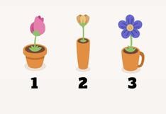Elige uno de estos floreros y sabrás qué revela sobre tu personalidad