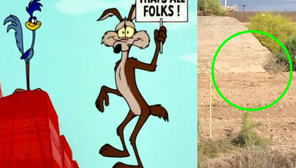 VIDEO VIRAL | ¿Eso es todo, amigos? Coyote persigue a correcaminos en la  vida real al estilo Looney Tunes | Twitter | mtbogan | Estados Unidos | USA  | EEUU | Arizona |
