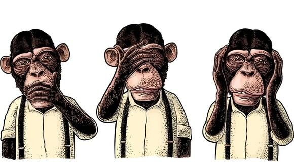 Test visual: el mono que elijas en esta imagen revelará cuán inteligente eres a día de hoy (Foto: GenialGuru).