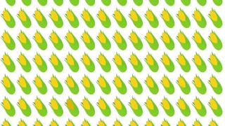 Encuentra el maíz diferente en la imagen y resuelve este complicado reto viral