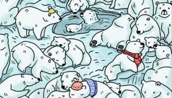 Reto viral: ¿logras identificar a la foca en la imagen llena de osos polares? Solo tienes 5 segundos (Foto: Facebook).