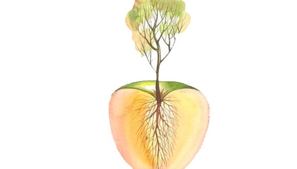 En la imagen del test visual se aprecia un árbol, una manzana y unas raíces.| Foto: chedonna