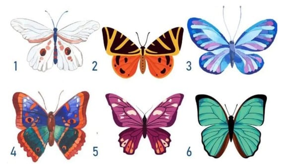TEST VISUAL | En esta imagen hay muchas mariposas. ¿Cuál escoges? (Foto: namastest.net)