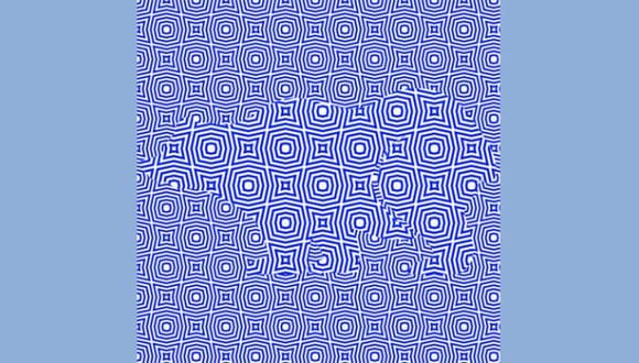 Adivina el animal que está oculto tras las figuras geométricas de color azul en solo 5 segundos. (Fotos: Facebook)