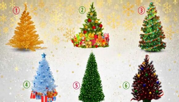 TEST VISUAL | En esta imagen se aprecian muchos árboles de Navidad. ¿Cuál es tu favorito? (Foto: namastest.net)