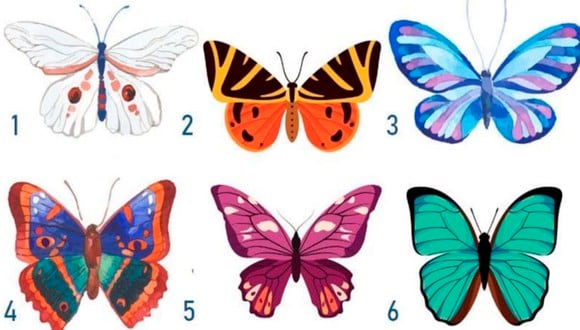 Observa detenidamente esta ilustración y elige la mariposa que más te agrada. Así podrás conocer los resultados del test viral.| Foto: namastest