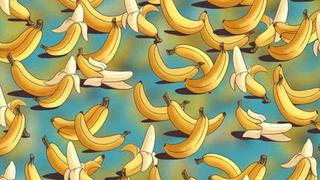 Encuentra el búmeran entre los plátanos: Solucionar el acertijo visual será lo más difícil que hagas hoy