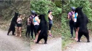 Todo por el ‘selfie’: muestra nervios de acero mientras un gigante oso negro la olfatea y remece las redes [VIDEO]