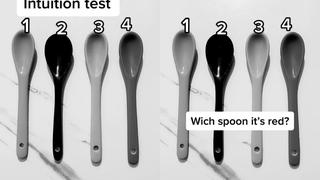 ¿Puedes ubicar la cuchara roja al instante? la gran mayoría fracasó en este acertijo visual