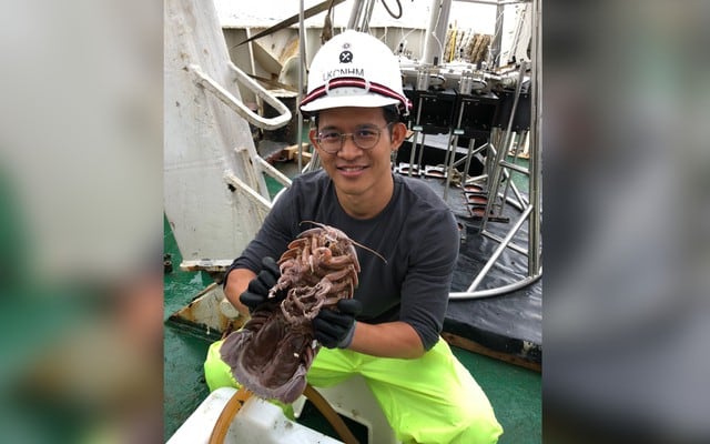 FOTO 1 DE 3 | Se trata de una “cucaracha gigante” o “de aguas profundas” hallada durante una expedición a más de 2 mil metros bajo el agua. | Foto: Facebook/St. John's Island Marine Laboratory (Desliza a la izquierda para ver más fotos)