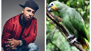 Loro detesta el reggaetón y se niega rotundamente a cantar “Cásate conmigo” de Nicky Jam