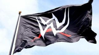 Delicado asunto: WWE confirmó su primer caso de coronavirus entre sus trabajadores