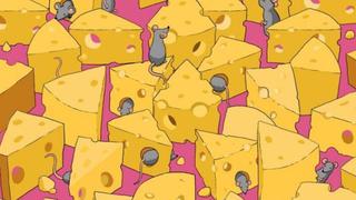 Reto viral pone a todos contra las cuerdas: ¿Puedes encontrar el dado oculto entre los quesos y las ratas? [FOTOS]