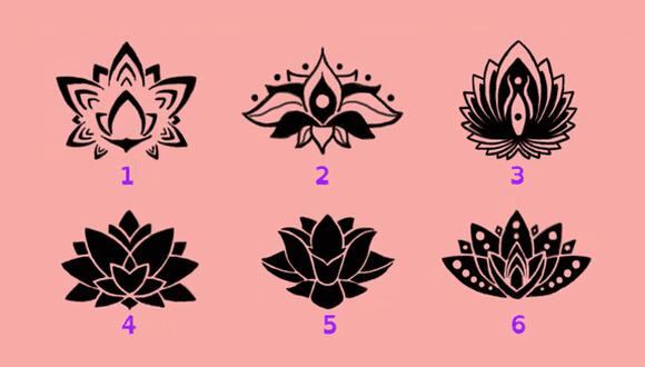 ¿Quieres conocer qué clase de persona eres? El test visual de las flores de loto lo dirá. (Foto: Genial.Guru)