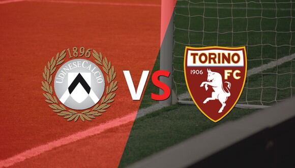 Italia - Serie A: Udinese vs Torino Fecha 24