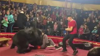 Adiestrador es atacado brutalmente por el oso que entrenó en plena función circense en Rusia