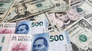 Tipo de cambio en México, hoy: ¿a cuánto cotiza el dólar este viernes 20 de enero?