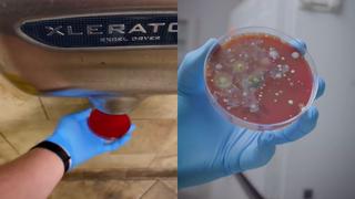 El video viral que demuestra que los secadores de manos en baños están infestados de bacterias