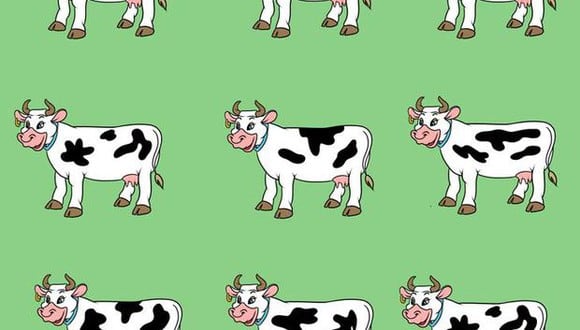 ¿Ves a la vaca que se diferencia de las demás? El acertijo visual que no te será fácil. (Foto: Genial.Guru)