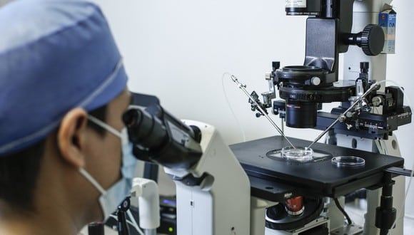 La Inteligencia Artificial es capaz de inspeccionar la calidad de los óvulos (Difusión)