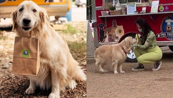 Un video viral muestra a una adorable perrita entregando pedidos de comida para perros en un food truck. | Crédito: @dogtreattruck / Instagram / ViralHog / YouTube