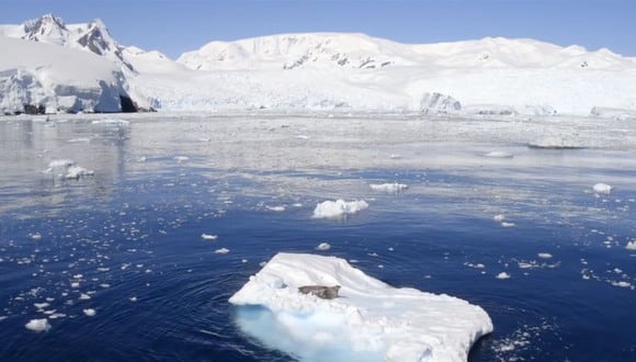 National Geographic estrenó “La Península Antártica”, documental sobre expedición inédita del Pristine Seas. (Foto: Captura de video)