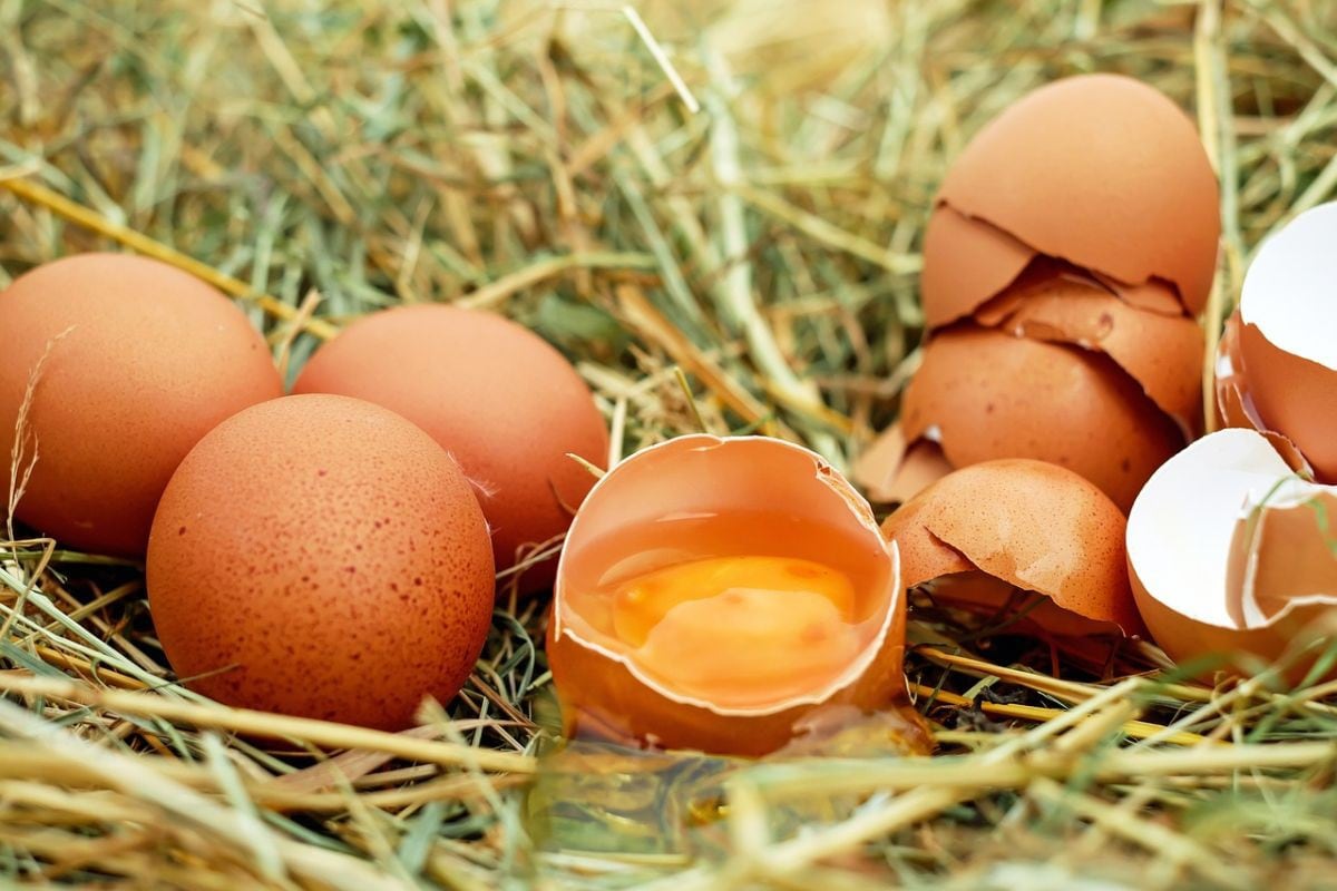 Huevos se convierten en virales luego que las yemas sean verdes. (Foto referencial: Pixabay)