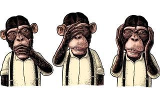 Elige uno de los monos en el test visual y conoce tu nivel de inteligencia actual
