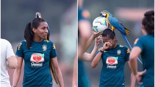 Guacamayo atrevido se paró en la cabeza de una futbolista brasileña luego de interrumpir los entrenamientos