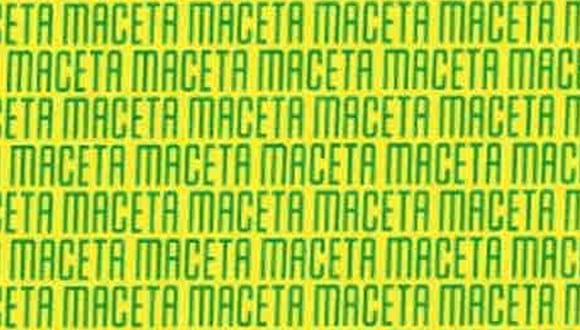 En esta imagen, cuyo fondo es de color amarillo, abundan las palabras ‘MACETA’. Entre ellas, está el término ‘MALETA’. (Foto: MDZ Online)