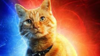 Avengers: Endgame | ¿Cómo Goose, el gato de Capitana Marvel, será relevante para la pelea contra Thanos?