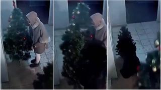 Las ‘Grinch’ de la Navidad: roban árbol navideño y dejan pequeño pino, la historia detrás [VIDEO]