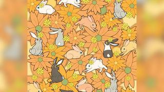 ¡Desafío visual! ¿Puedes encontrar la zanahoria oculta entre los conejos en tan solo 5 segundos? 