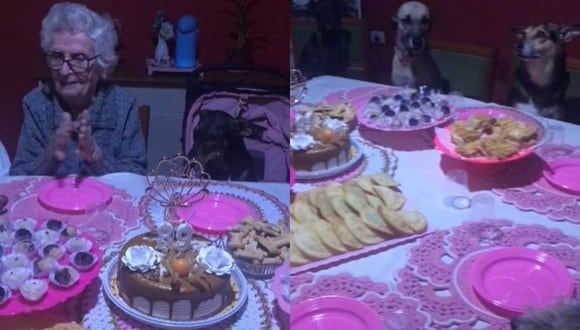 Los perritos, muy educados, esperaron a que se cantara el popular "Happy Birthday" para empezar a comer. (Foto: @vitoriaabencoada/composición)