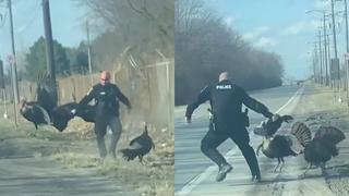 Típico que llegas tarde por el tráfico que ocasionó una pelea entre un policía y dos pavos