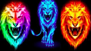 Test visual de los tres leones: escoge uno y conoce cómo es tu personalidad