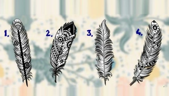 TEST VISUAL | En esta imagen se aprecian muchas plumas. ¿Cuál es la que más te gusta? (Foto: namastest.net)
