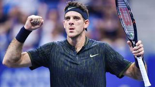 Juan Martín Del Potro venció a Steve Johnson y sigue adelante en US Open