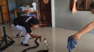 ¡Valerosa acción! Hombre atrapó con sus manos a letal serpiente que había asustado a una familia en Tailandia [VIDEO]