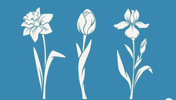 TEST VISUAL | Cada flor representa un arquetipo de personalidad con características distintivas. | Greenme.it